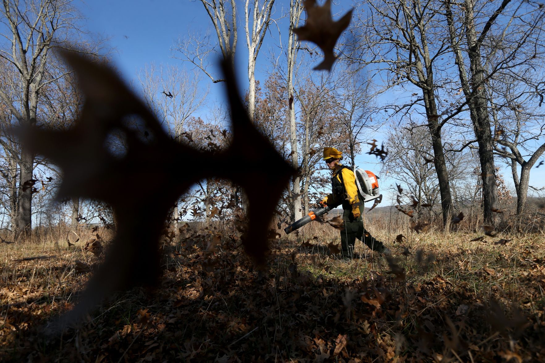 Citizens watch a prescribed burn at Shaw Nature Reserve